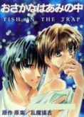 Fish In The Trap (Inglês)