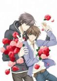 Sekai Ichi Hatsukoi + Ova 2 - 2 Temporada